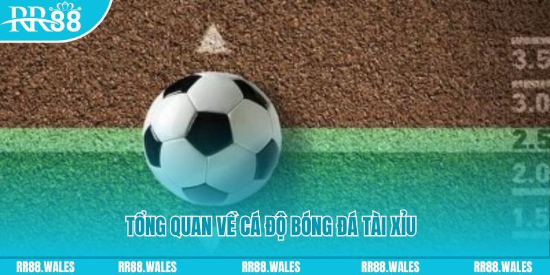 hi888 sòng bạc LÀ GÌ